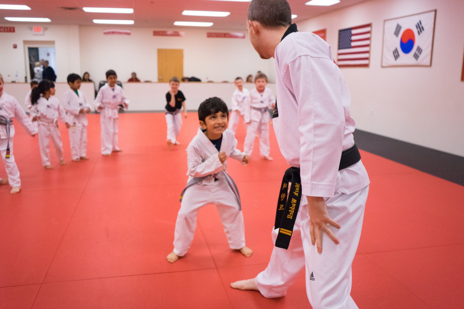 Little Dragons Little Dragons